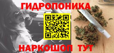 дмт Камышлов