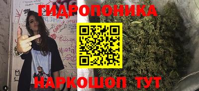 прущая мука Кандалакша