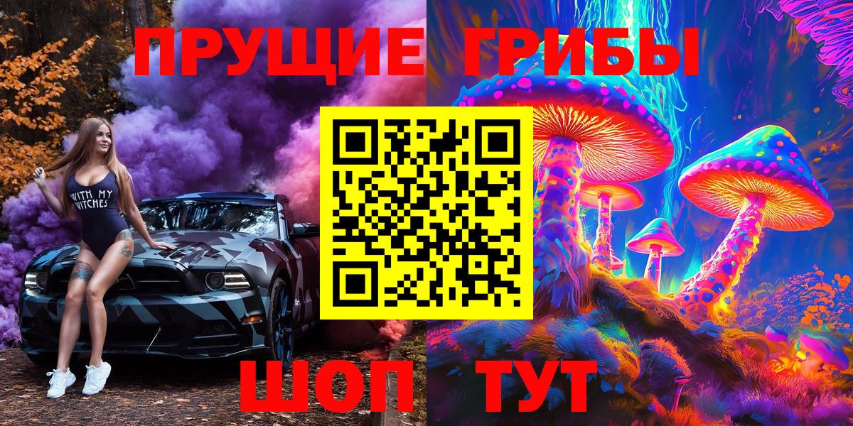 Псилоцибиновые грибы Psilocybe Лабытнанги