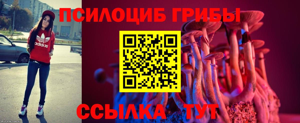 Лабытнанги  Галлюциногенные грибы Psilocybine cubensis  Вход с VPN 